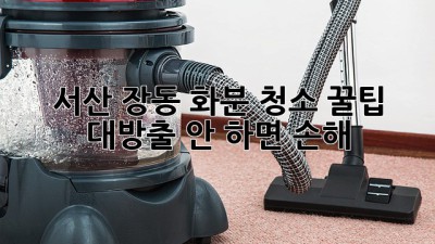 서산 장동 화분 청소🌱 꿀팁 대방출! 안 하면 손해?! 😱