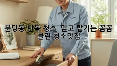 분당동 단독 청소 💎 믿고 맡기는 꼼꼼 클린! #청소맛집
