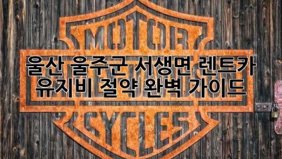 울산 울주군 서생면 렌트카 유지비 절약 완벽 가이드