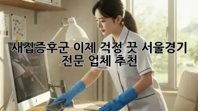 새집증후군, 이제 걱정 끗! 서울/경기 전문 업체 추천